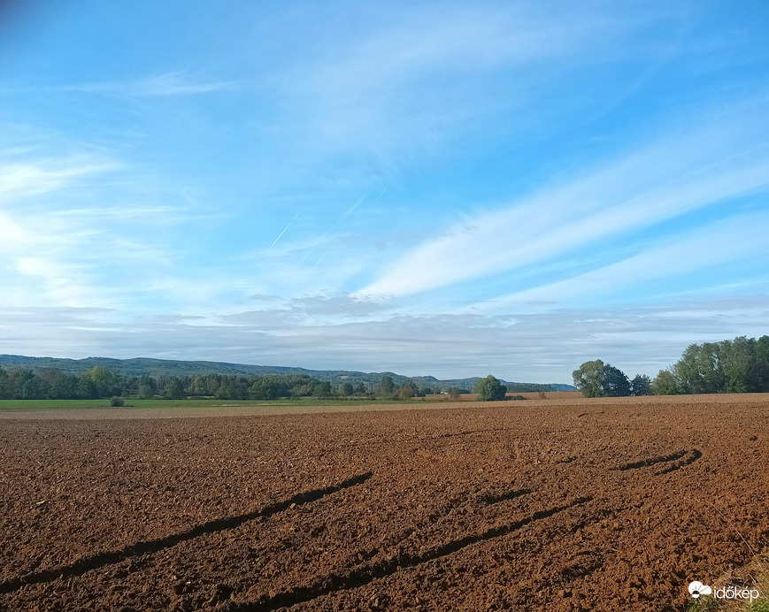 Ploughed field 