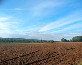 Ploughed field 