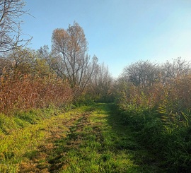 Autumnal weather 