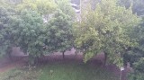 Budapest XIII. ker