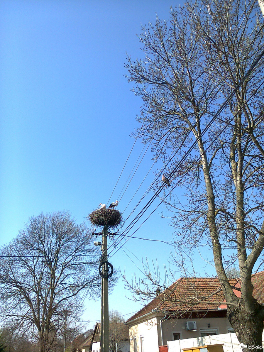 Észlelési fényképek