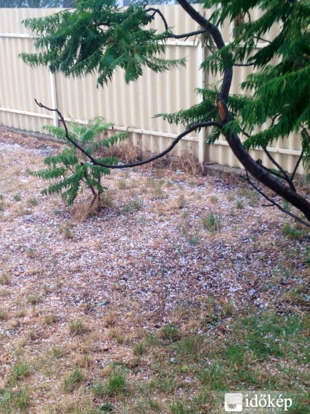 Észlelési fényképek