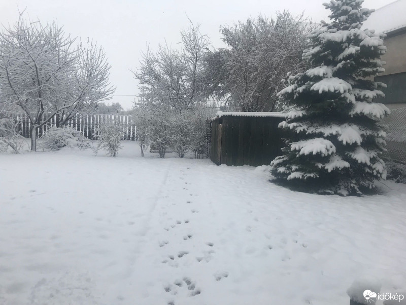 Észlelési fényképek