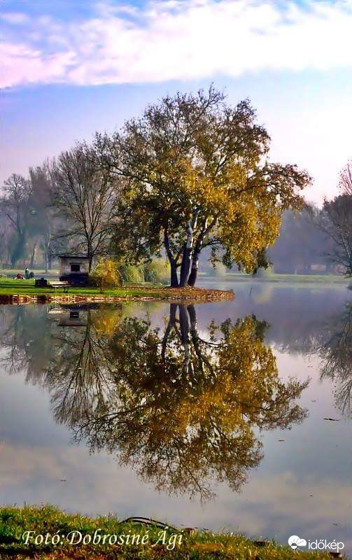 Mint egy őszilevél.... 