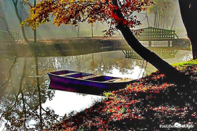 Festetics kastély park