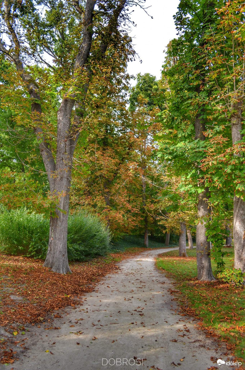 Itt van az ősz. 