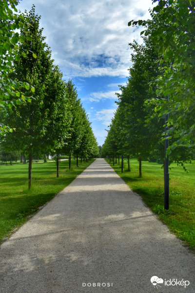 Gödöllő kastély park.. 