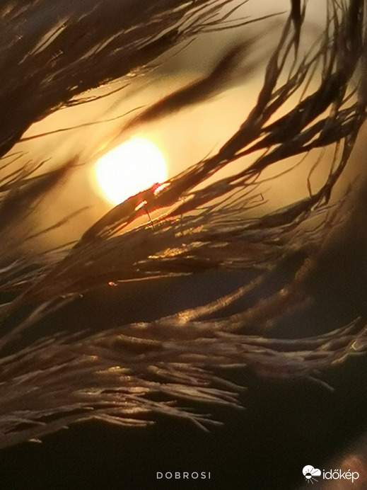 Ma is lement a nap... 