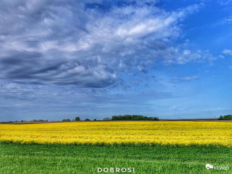 Most. Középbogárd. 