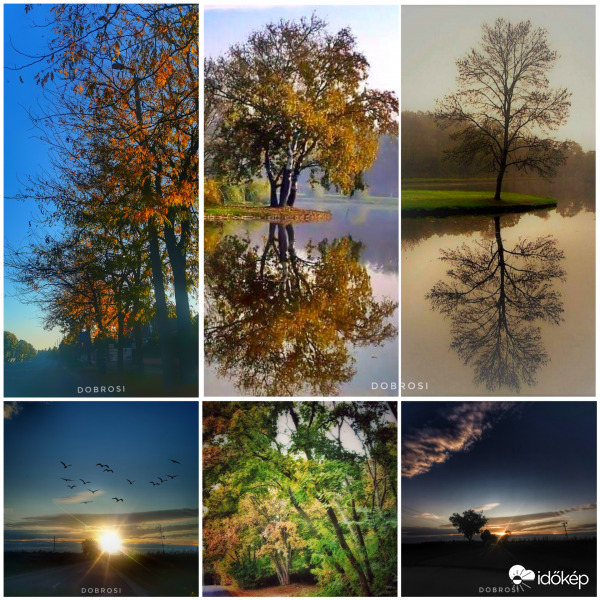 Ősz színei. 