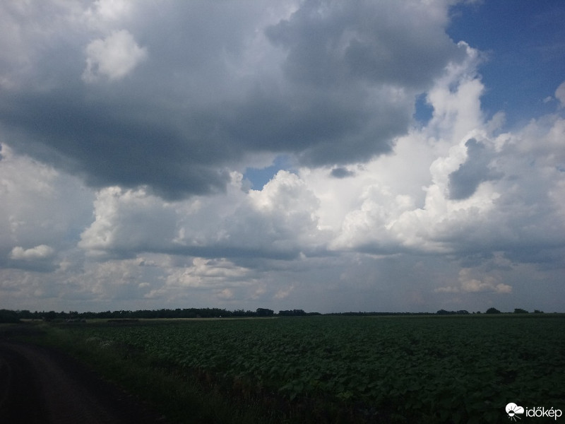 Észlelési fényképek