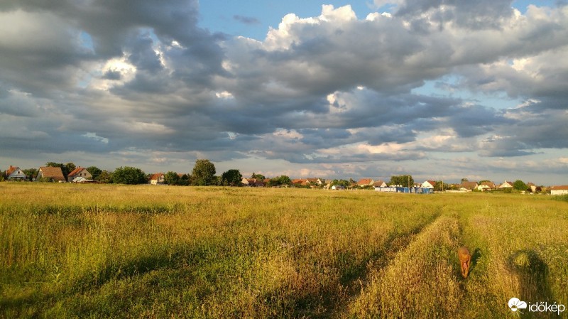 Észlelési fényképek