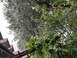 Budapest XIX.ker - Kispest