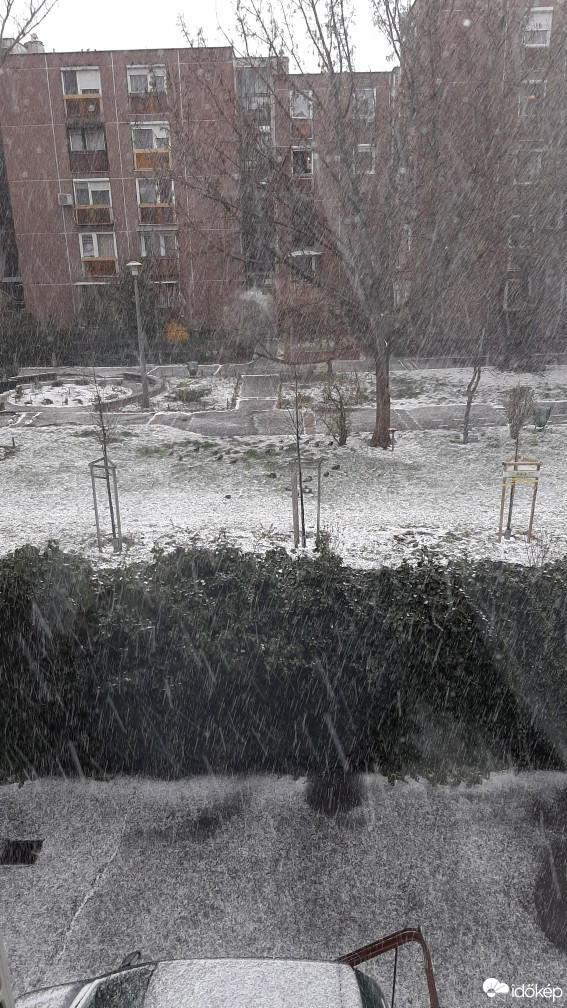 Észlelési fényképek