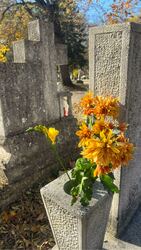 Budapest XI.ker - Albertfalva