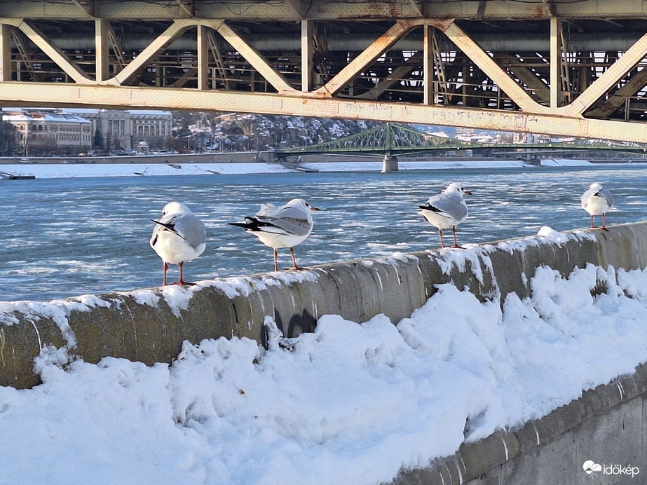 Budapest XI.ker - BME