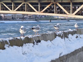 Budapest XI.ker - BME