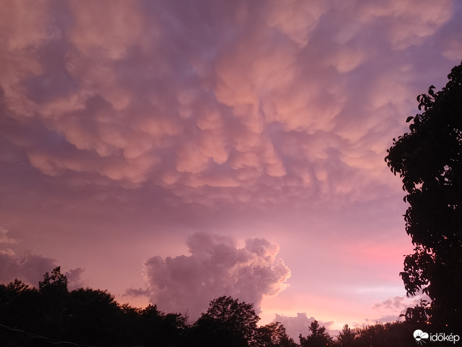 Észlelési fényképek