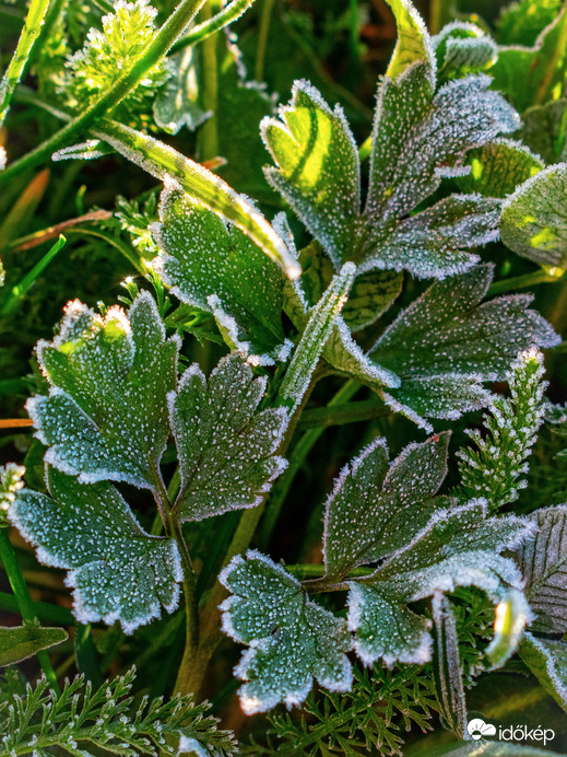 -4,3 °C Csákányházán