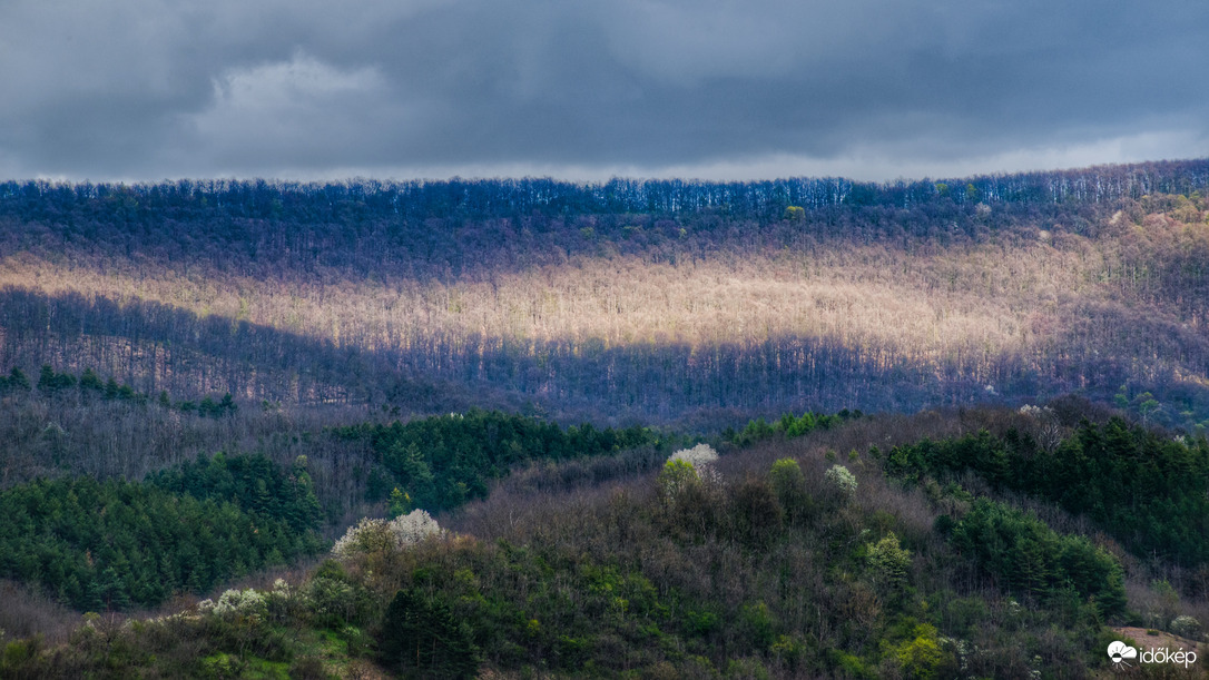 Ébredező természet