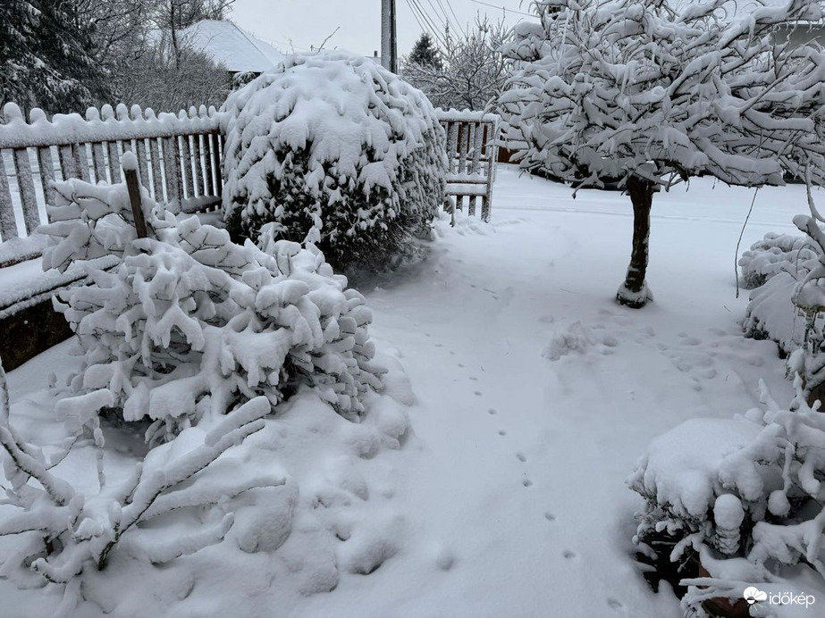 Észlelési fényképek