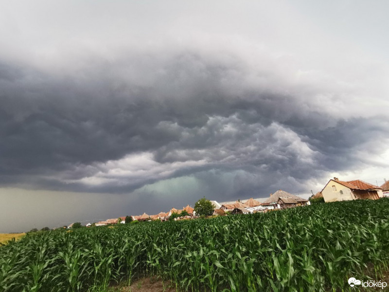 Észlelési fényképek