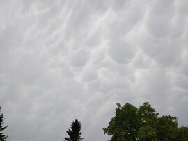 Felsőszölnök
