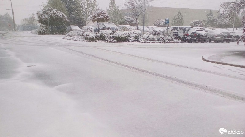 Észlelési fényképek