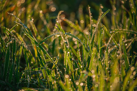 Amikor néha kisüt a nap. :-)