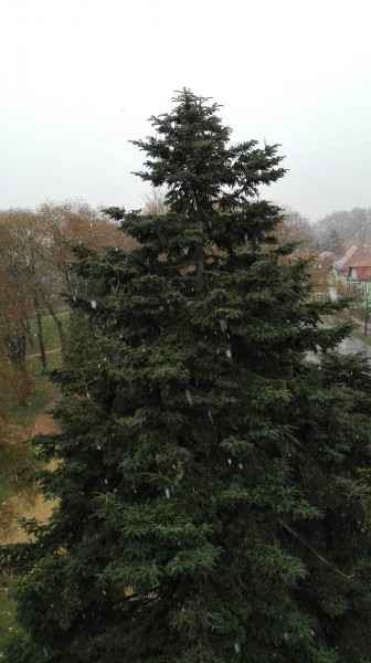 Zalaegerszeg