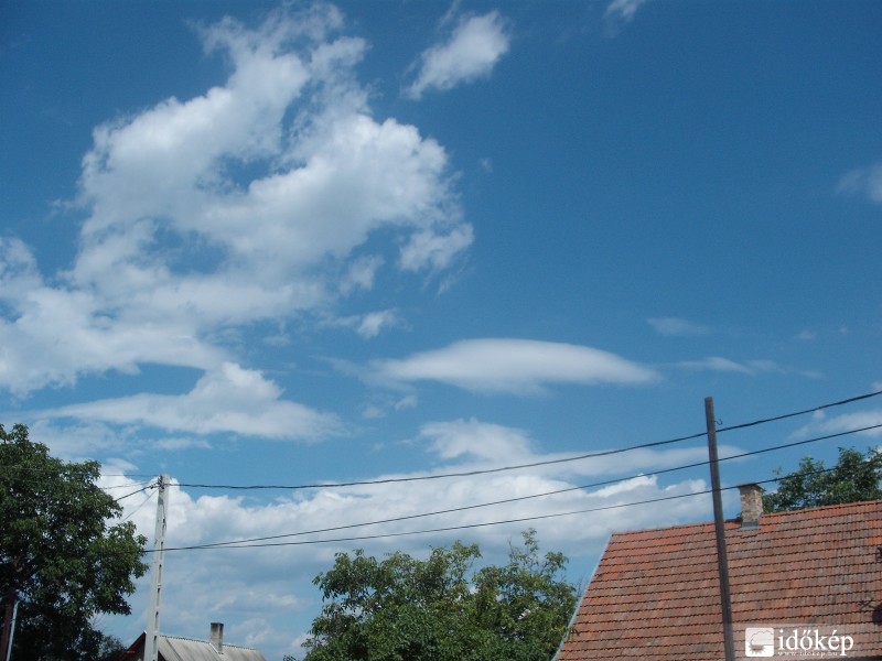Cu pileus