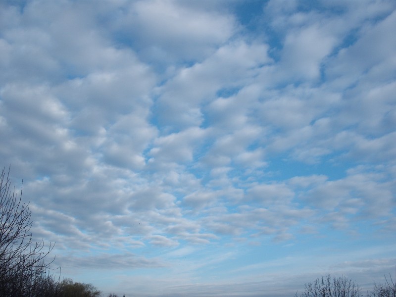 Reggeli altocumulus