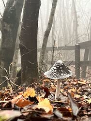 Budapest V.ker - Lipótváros