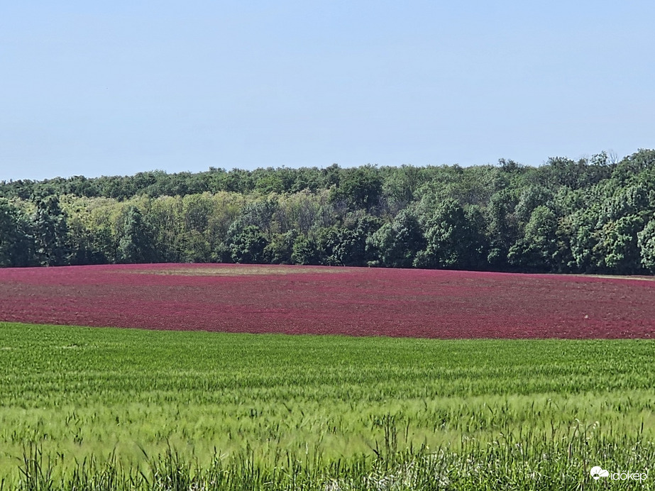 Fertőszentmiklós