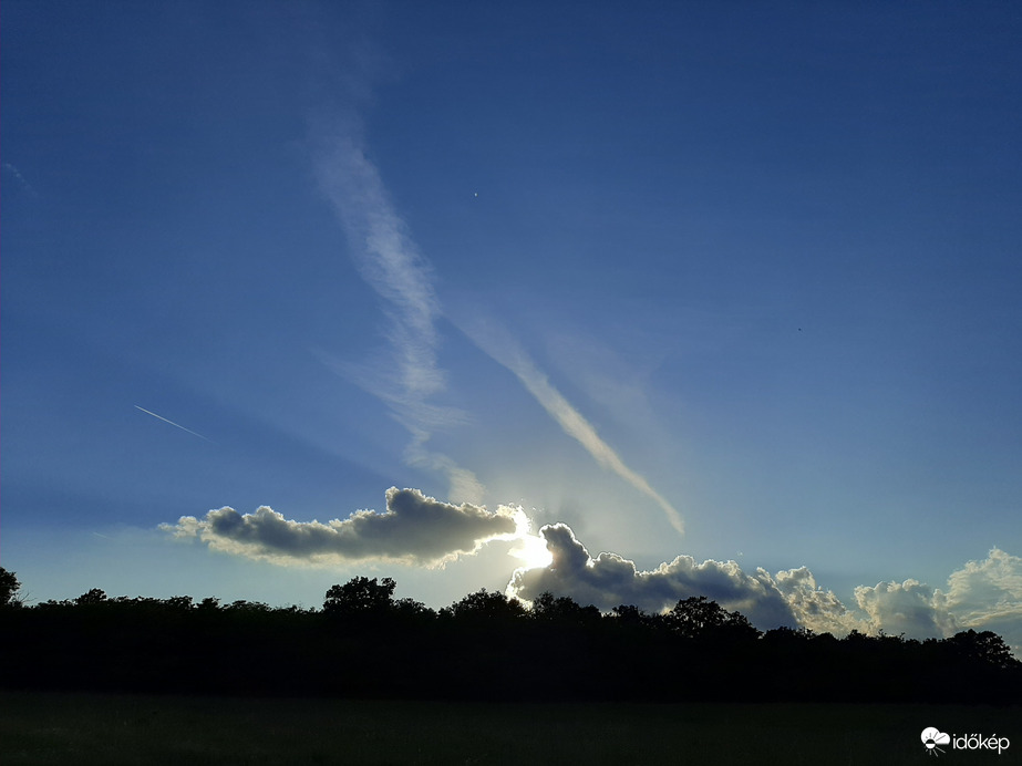 A tűzokádó sárkány találkozása a cápagyerekkel