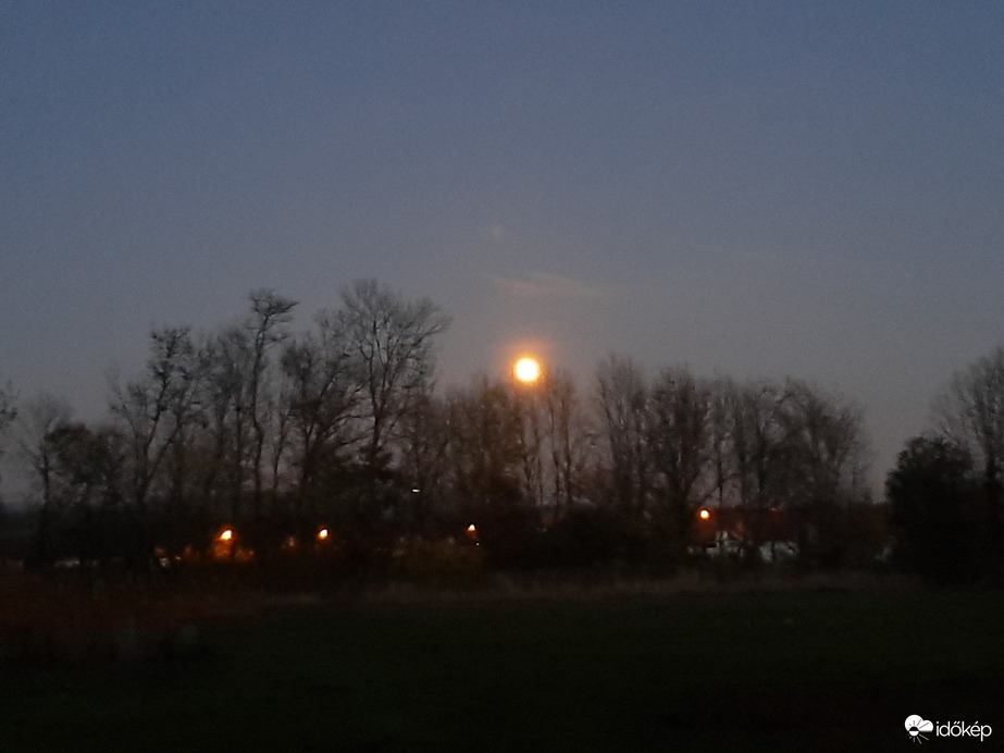 Telihold a fák tetején