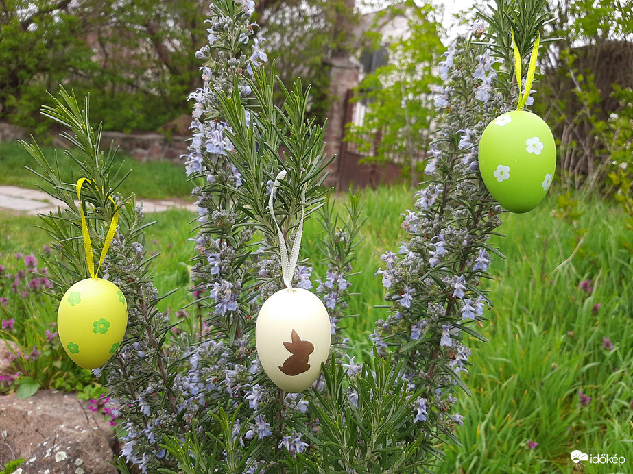 Szép ünnepet kívánok mindenkinek! 