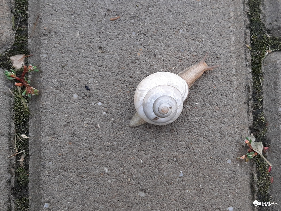 Mindig ez a rohanás! 