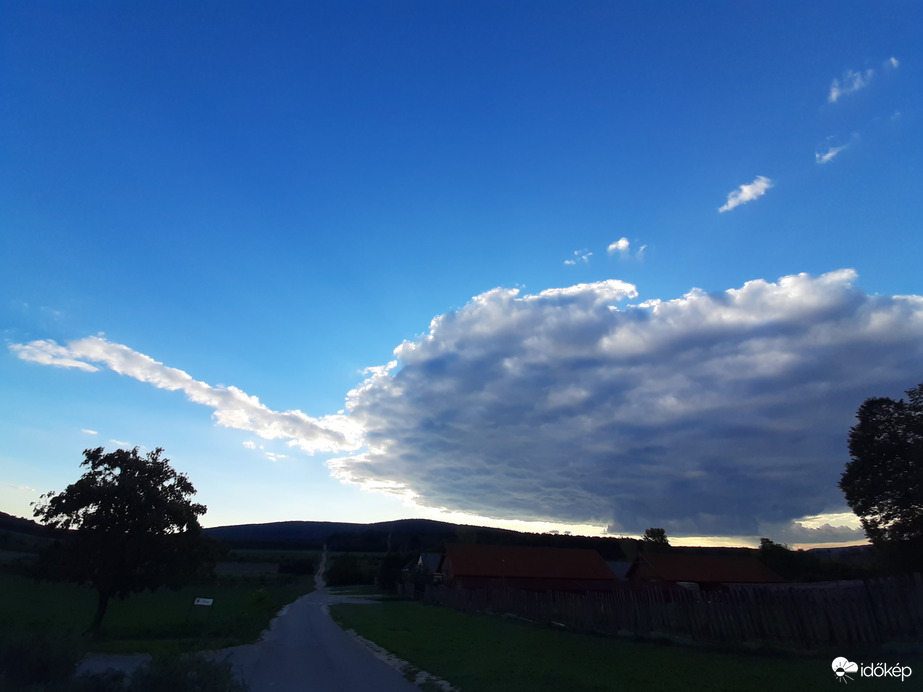 Ormányos