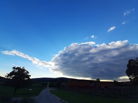 Ormányos