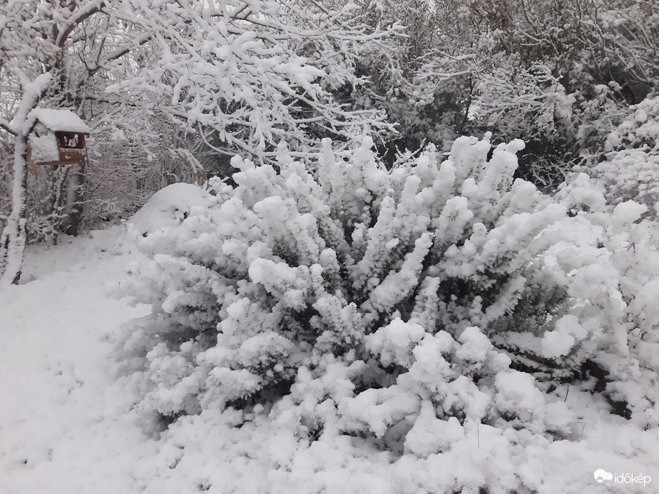 Holle anyó munkában