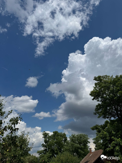 Észlelési fényképek