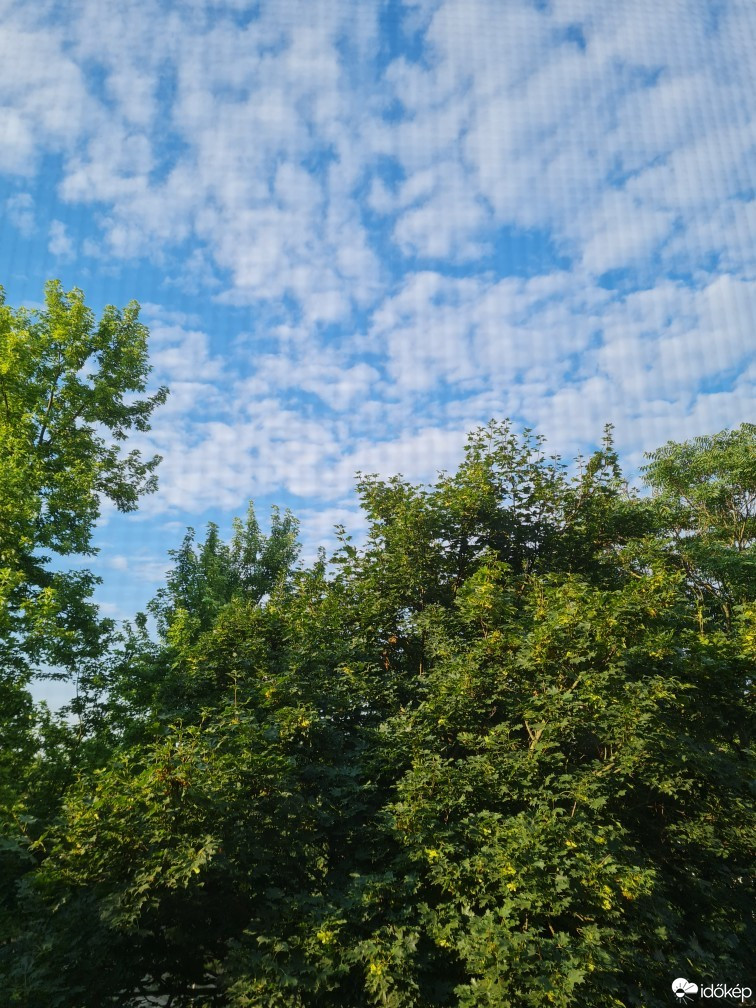 Hódmezővásárhely