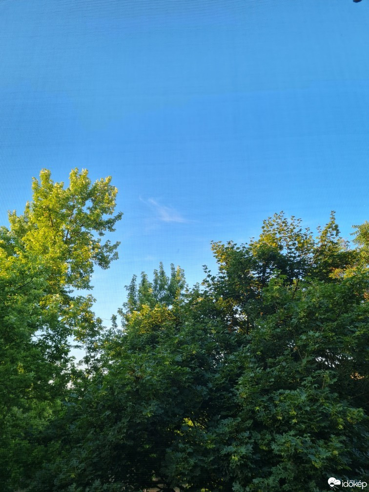 Hódmezővásárhely