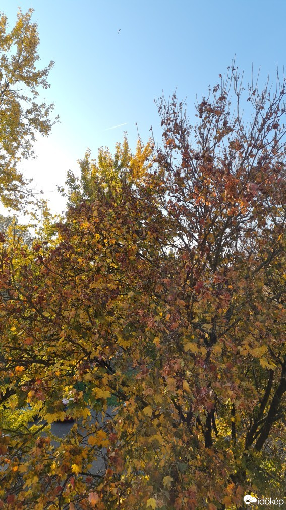 Hódmezővásárhely