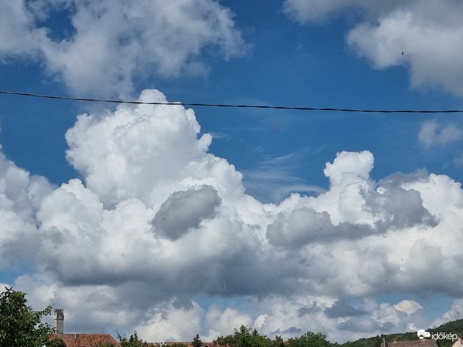 Buják