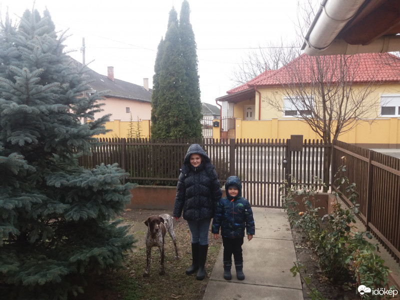 Észlelési fényképek