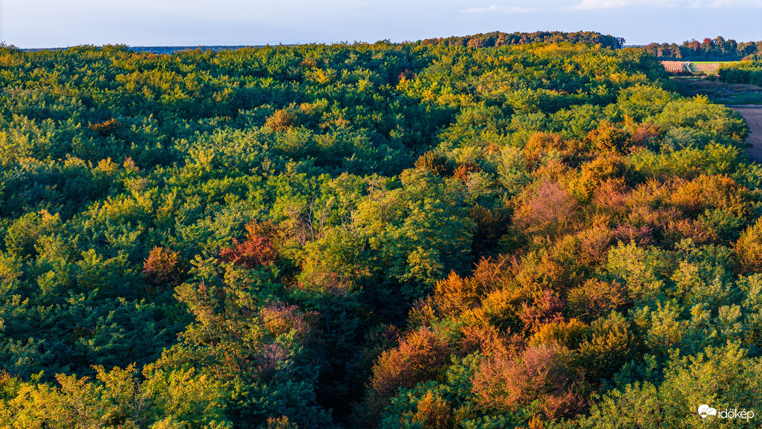 Őszi erdő