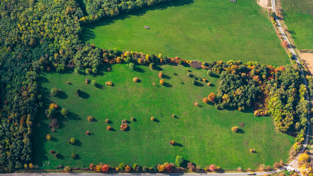 A csend zöld mezeje