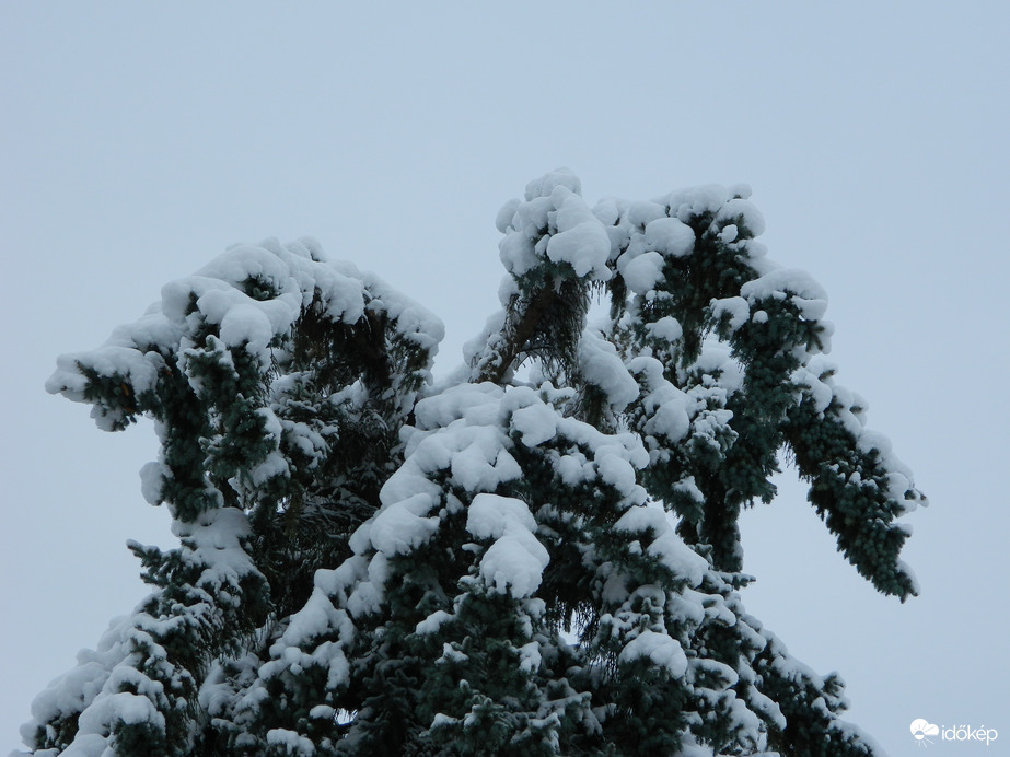 Abaliget ma délelőtt    